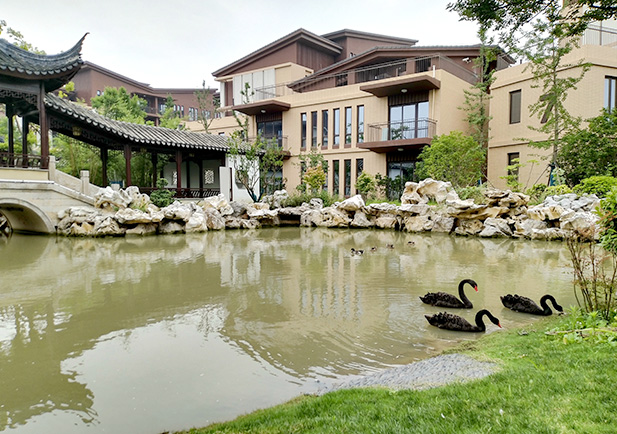 中國(guó)人壽蘇州陽(yáng)澄湖半島養(yǎng)老養(yǎng)生項(xiàng)目園林景觀(guān)